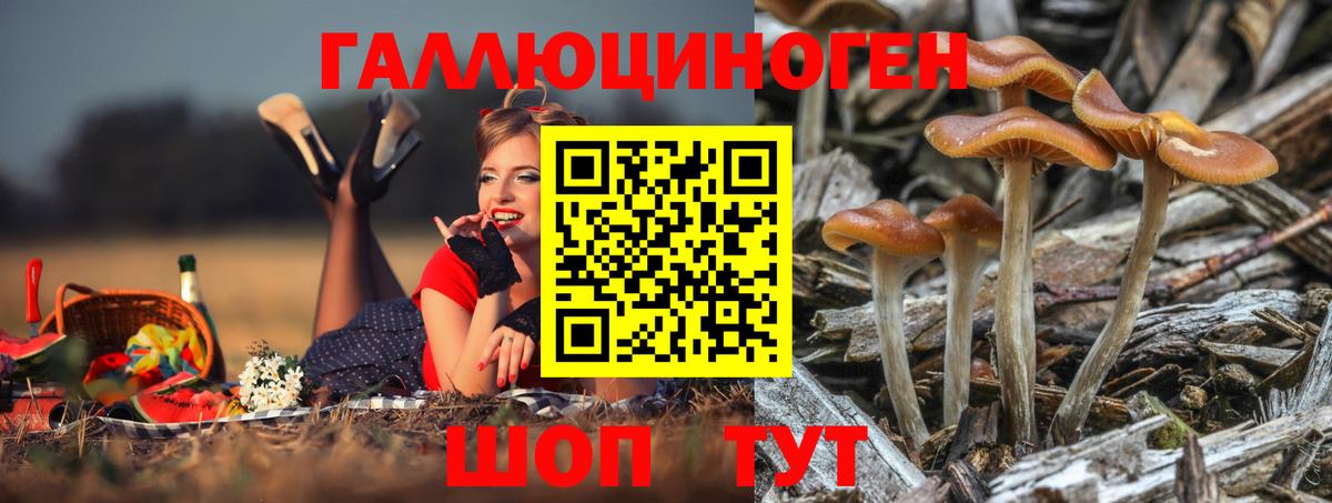 Волгодонск  Галлюциногенные грибы MAGIC MUSHROOMS  наркошоп  Вход с VPN 